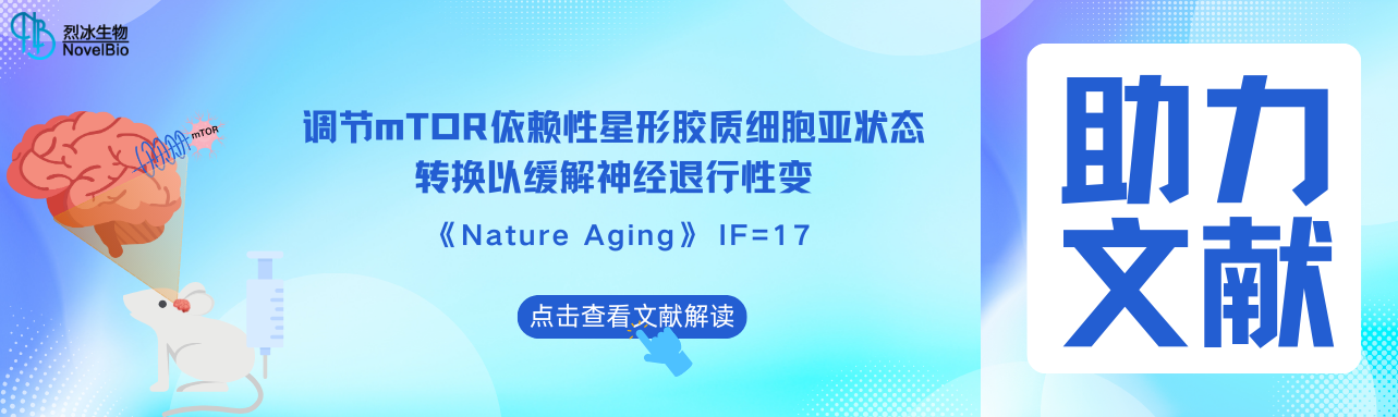 烈冰助力 | Nature Aging（IF = 17） 調(diào)控mTOR依賴(lài)的星形膠質(zhì)細(xì)胞亞狀態(tài)轉(zhuǎn)變可緩解神經(jīng)退行性變