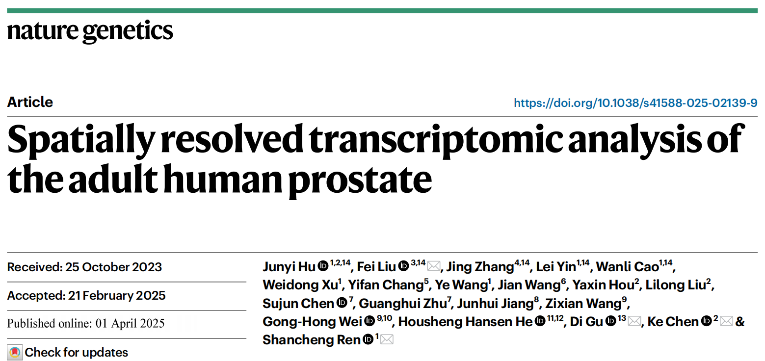 烈冰助力|《Nature Genetics》:成人前列腺空間分辨轉(zhuǎn)錄組分析